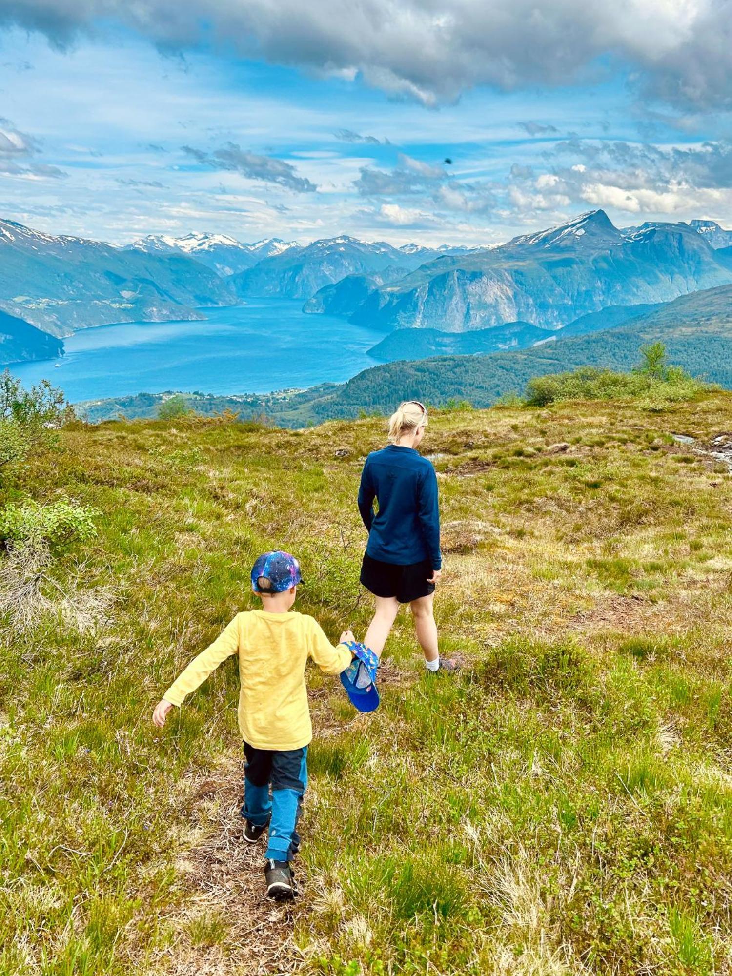 Dream Mivo X - Mountain Views And Idyllic Location At Strandafjellet Holiday home Stranda (More og Romsdal)